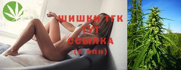 мет Алексин