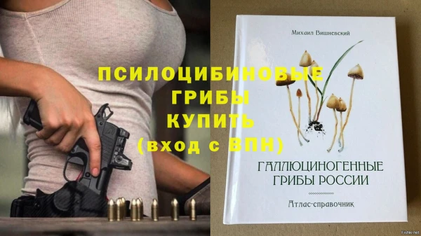 мет Алексин