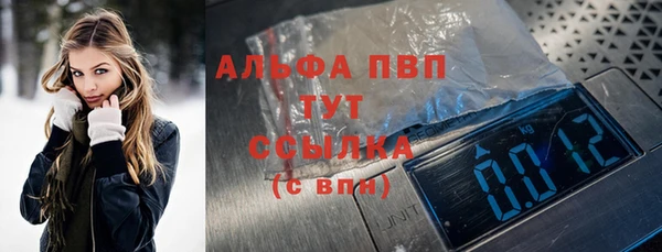 мет Алексин