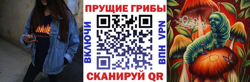 Галлюциногенные грибы прущие грибы  цены   MEGA ССЫЛКА  Иланский 